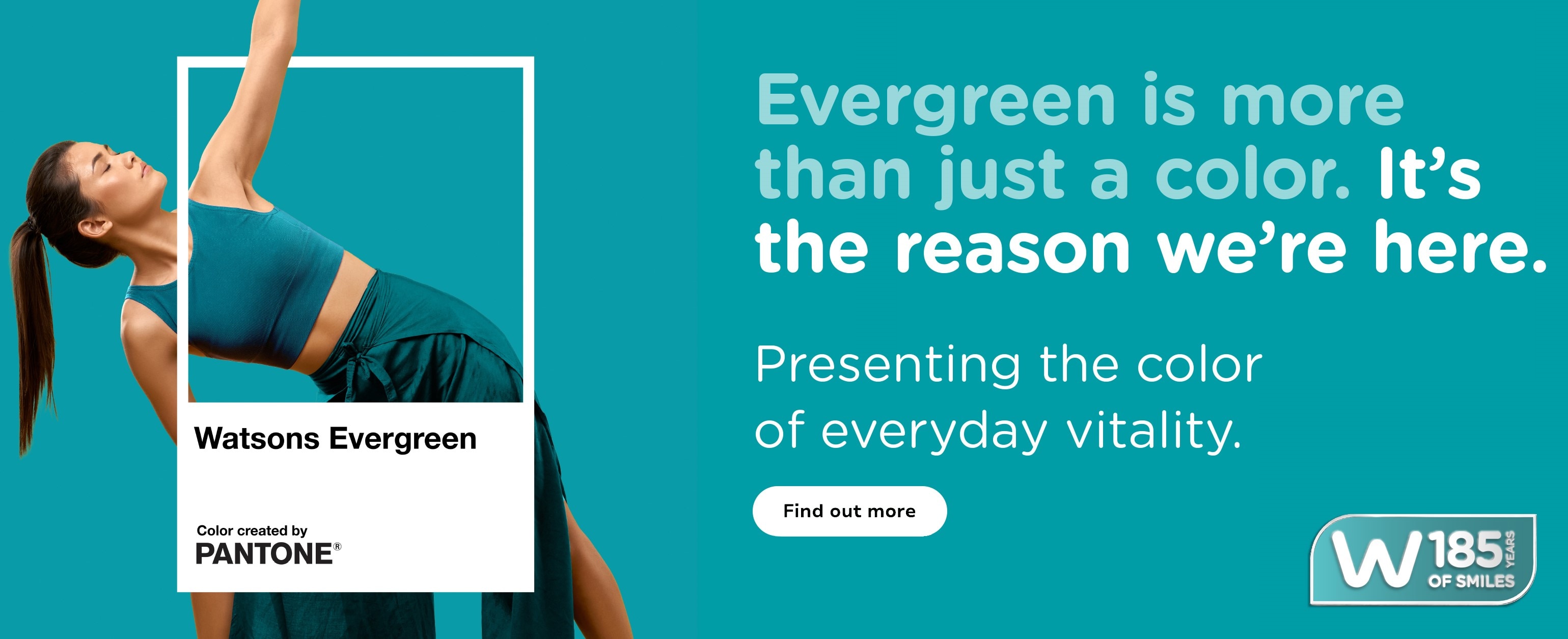 Watsons Evergreen