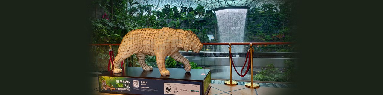 Watsons Supports Tiger Conservation